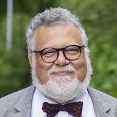 A. M. Celal Şengör