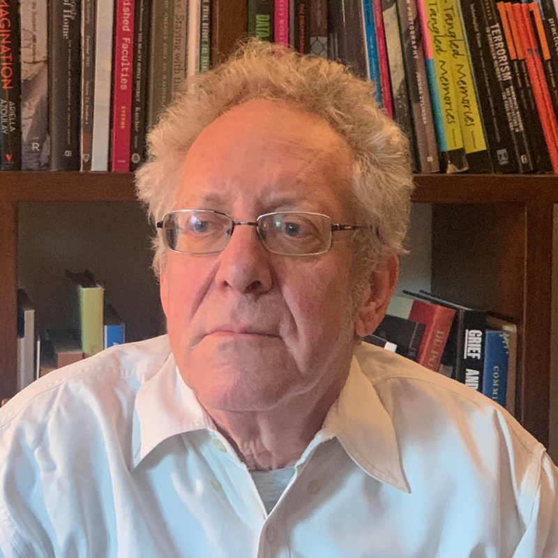 Dana Polan