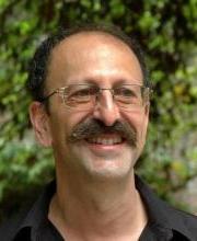 David Shulman
