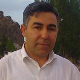 Davut Tok