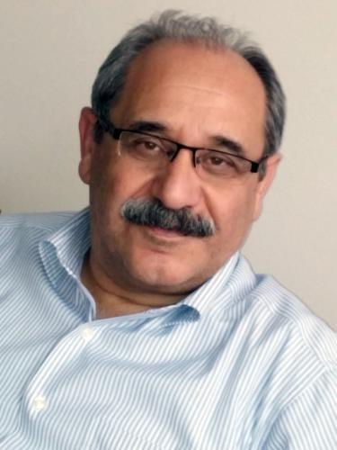 L. Doğan Tılıç