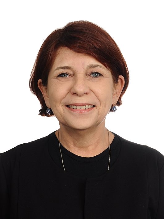 N. Ayşe Şahan