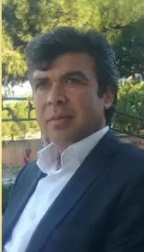 Nail Çam