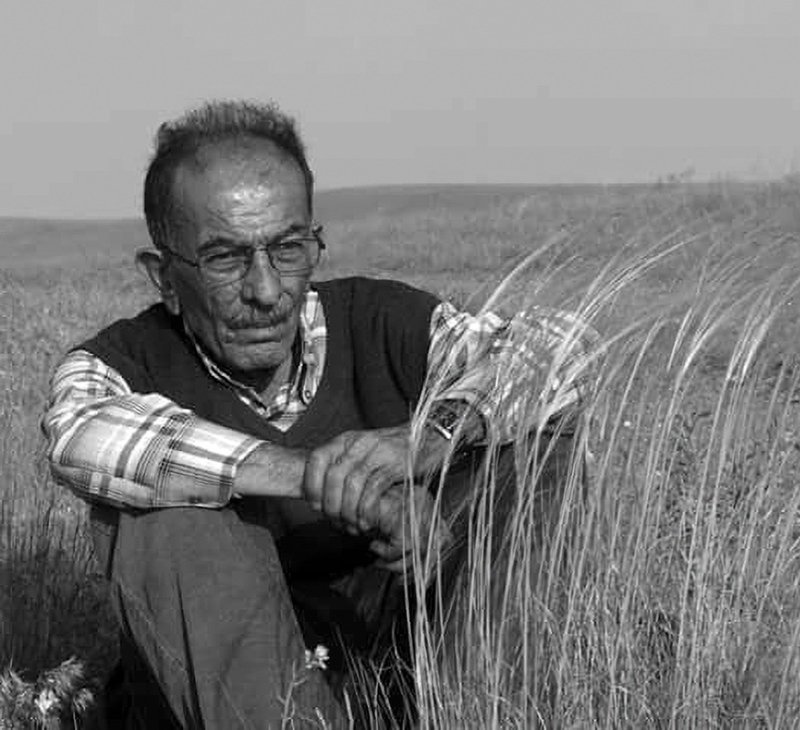 Zeki Oğuz