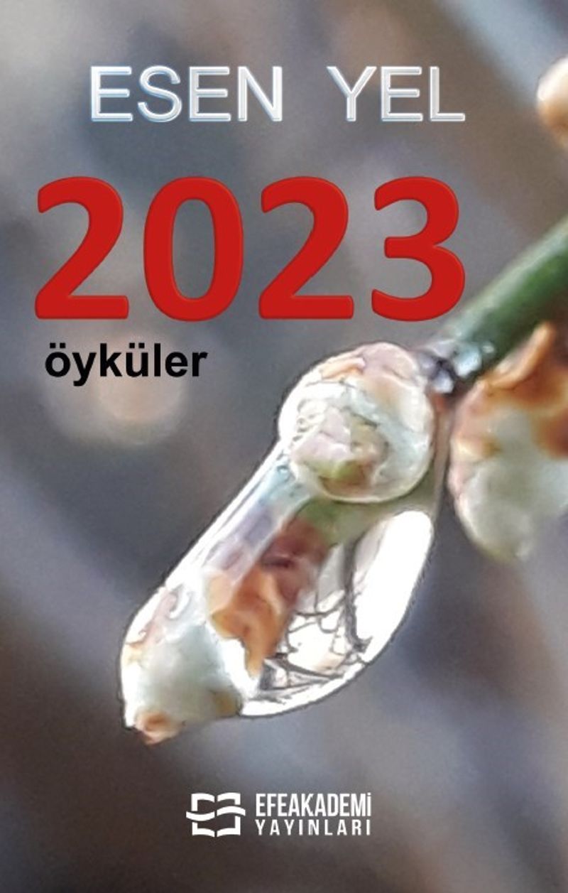 2023  Öyküler