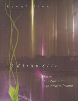 3 Kitap Şiir