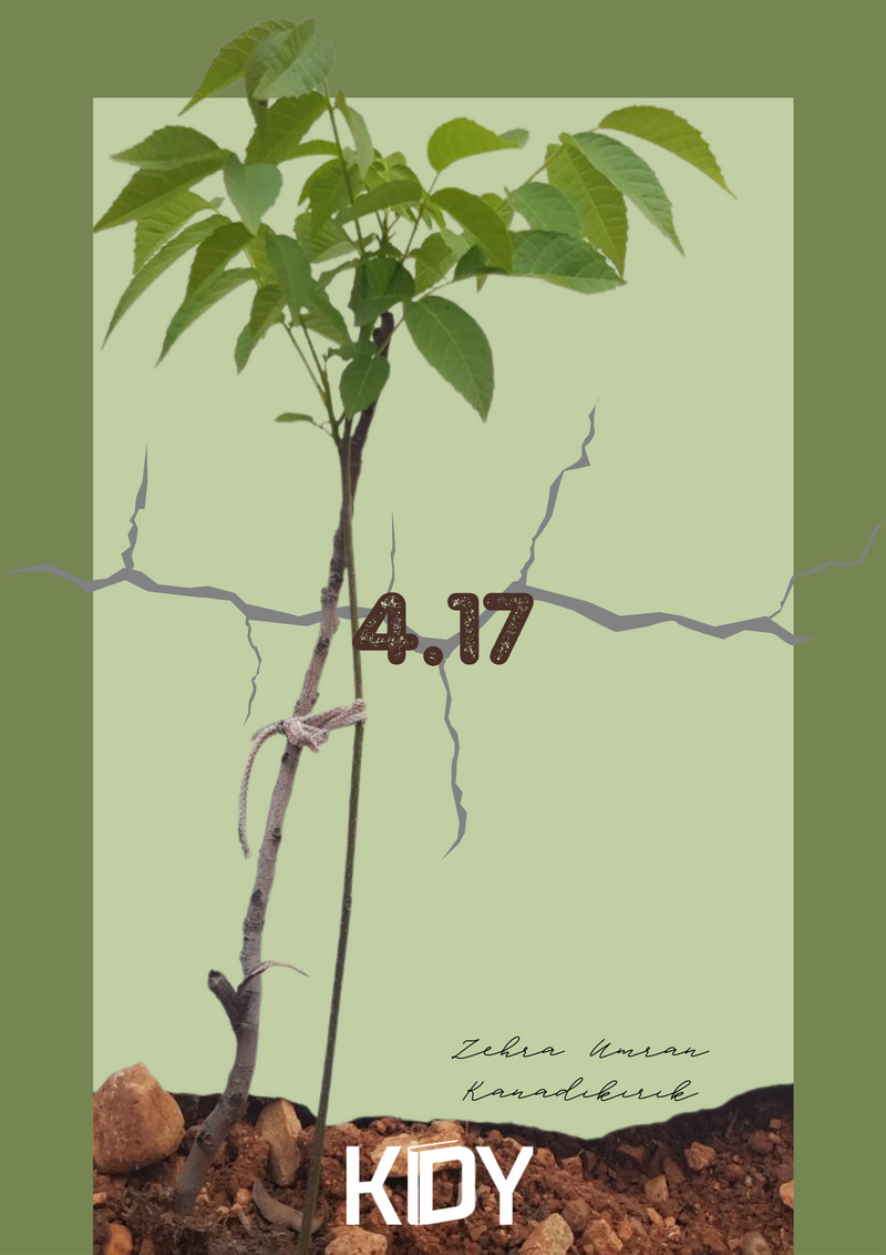 4.17