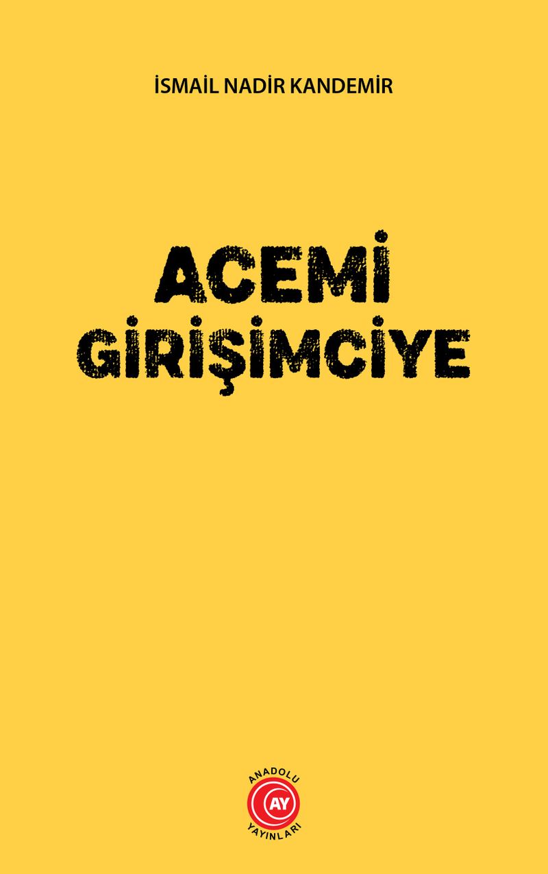 Acemi Girişimciye