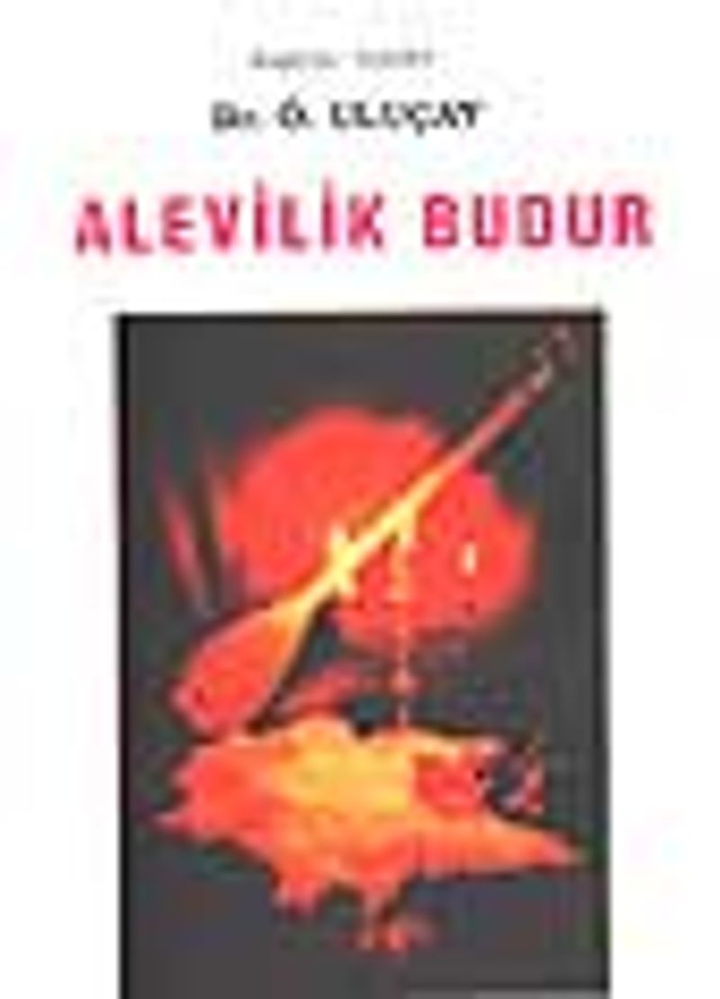 Alevilik Budur