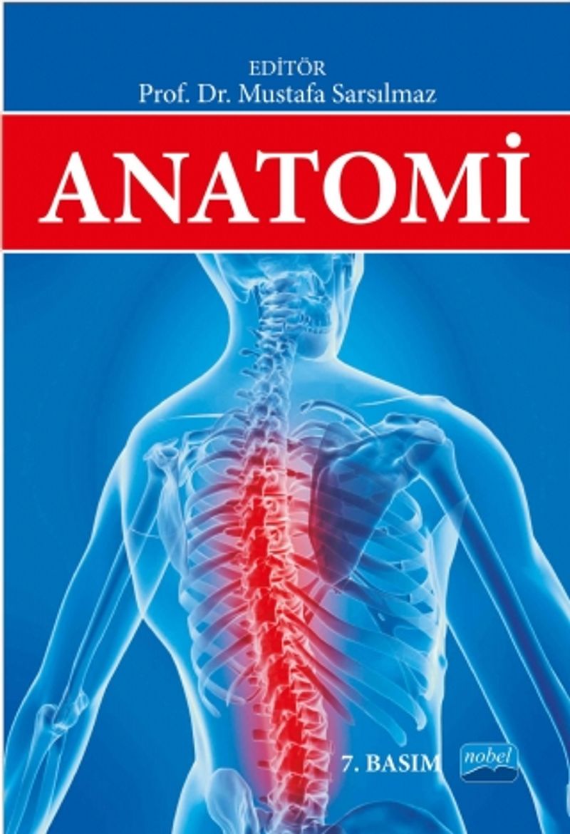 Anatomi