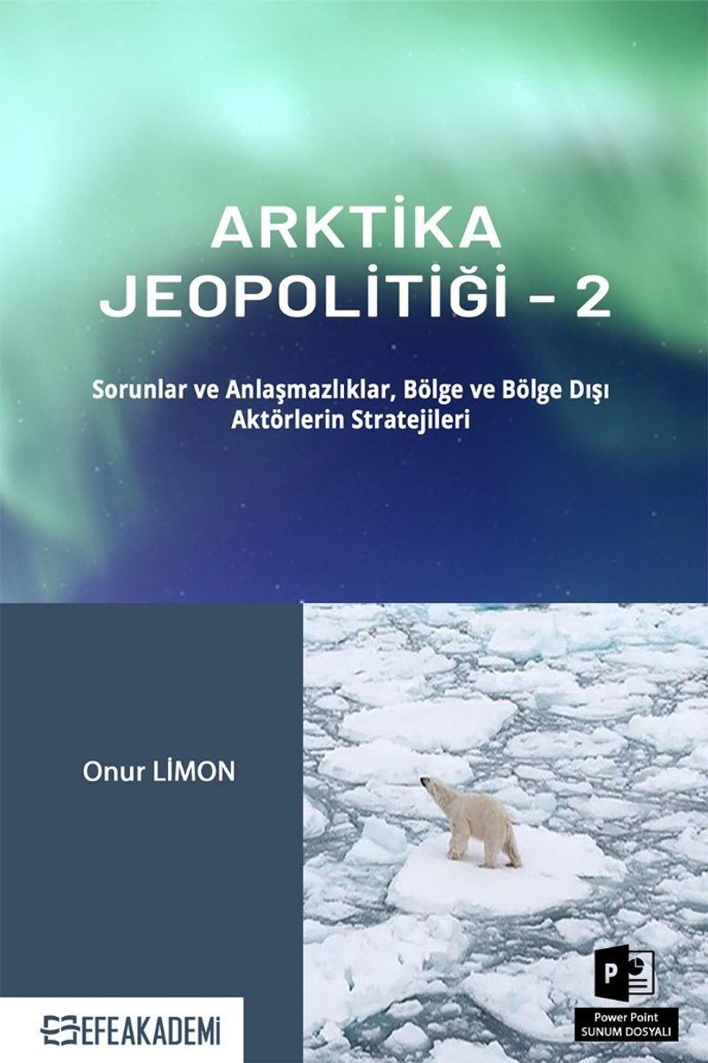 Arktika Jeopolitiği 2 Sorunlar ve Anlaşmazlıklar, Bölge ve Bölge Dışı Aktörlerin Stratejileri