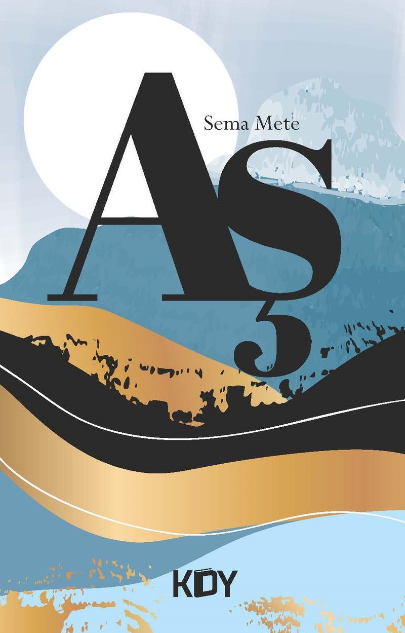 Aş