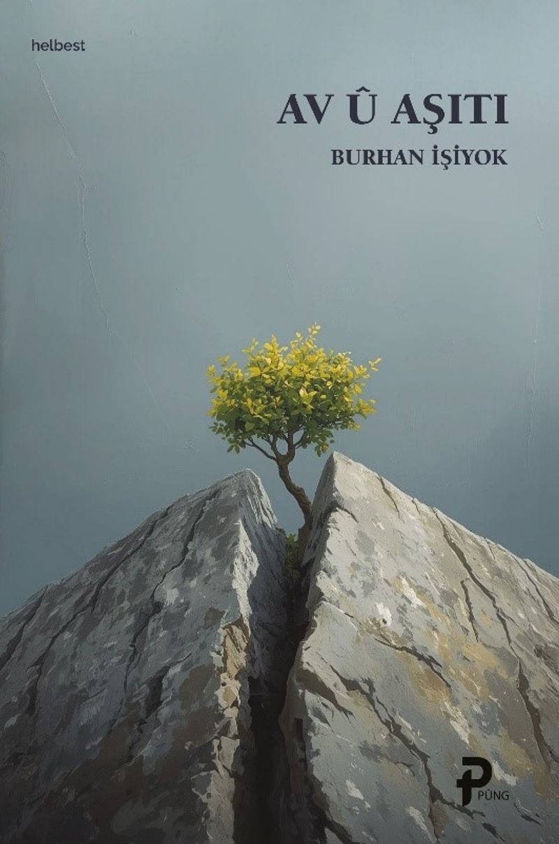 Av Û Aşiti