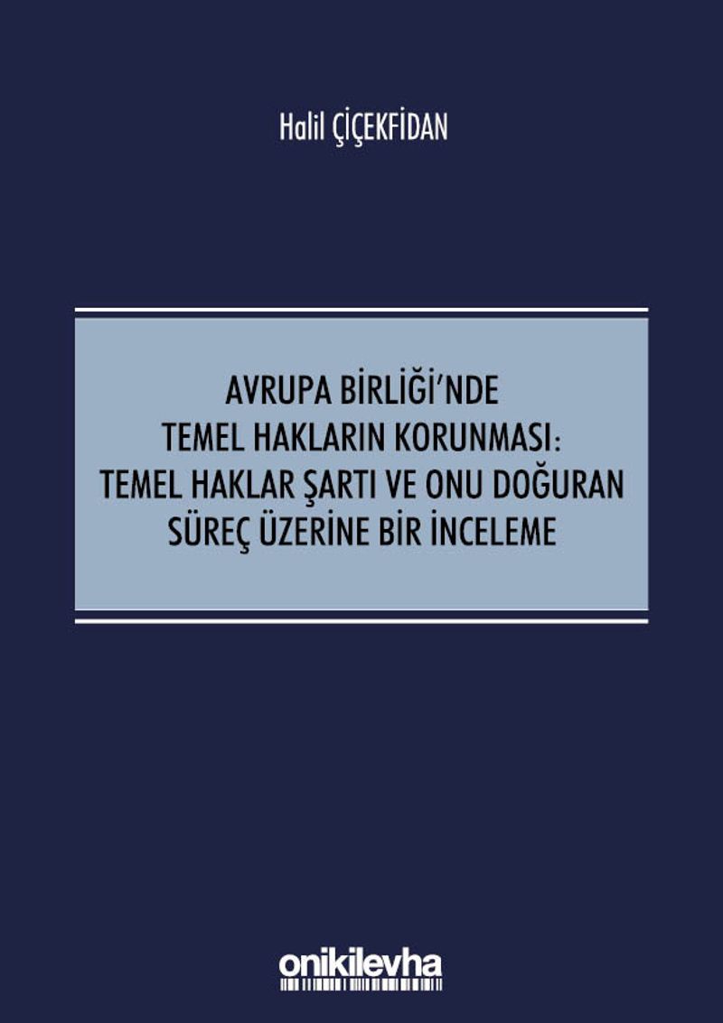 Avrupa Birliği'nde Temel Hakların Korunması:Temel Haklar Şartı ve Onu Doğuran Süreç Üzerine Bir İnceleme