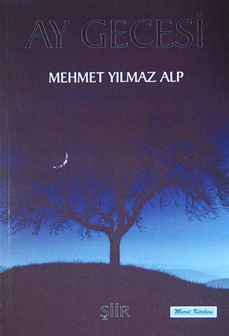 Ay Gecesi