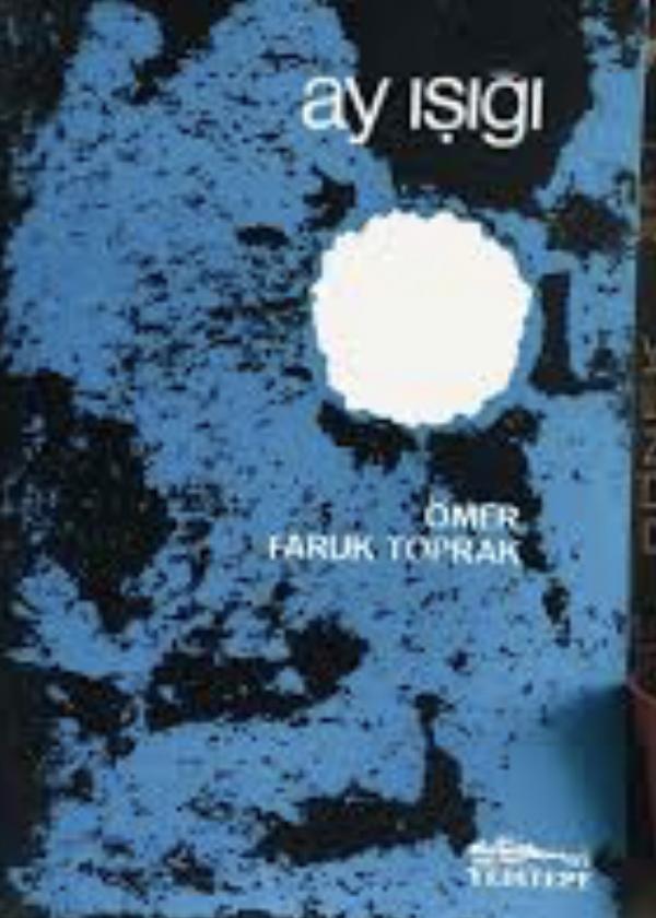 Ay Işığı