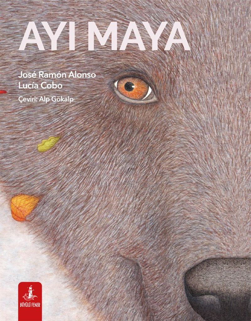 Ayı Maya