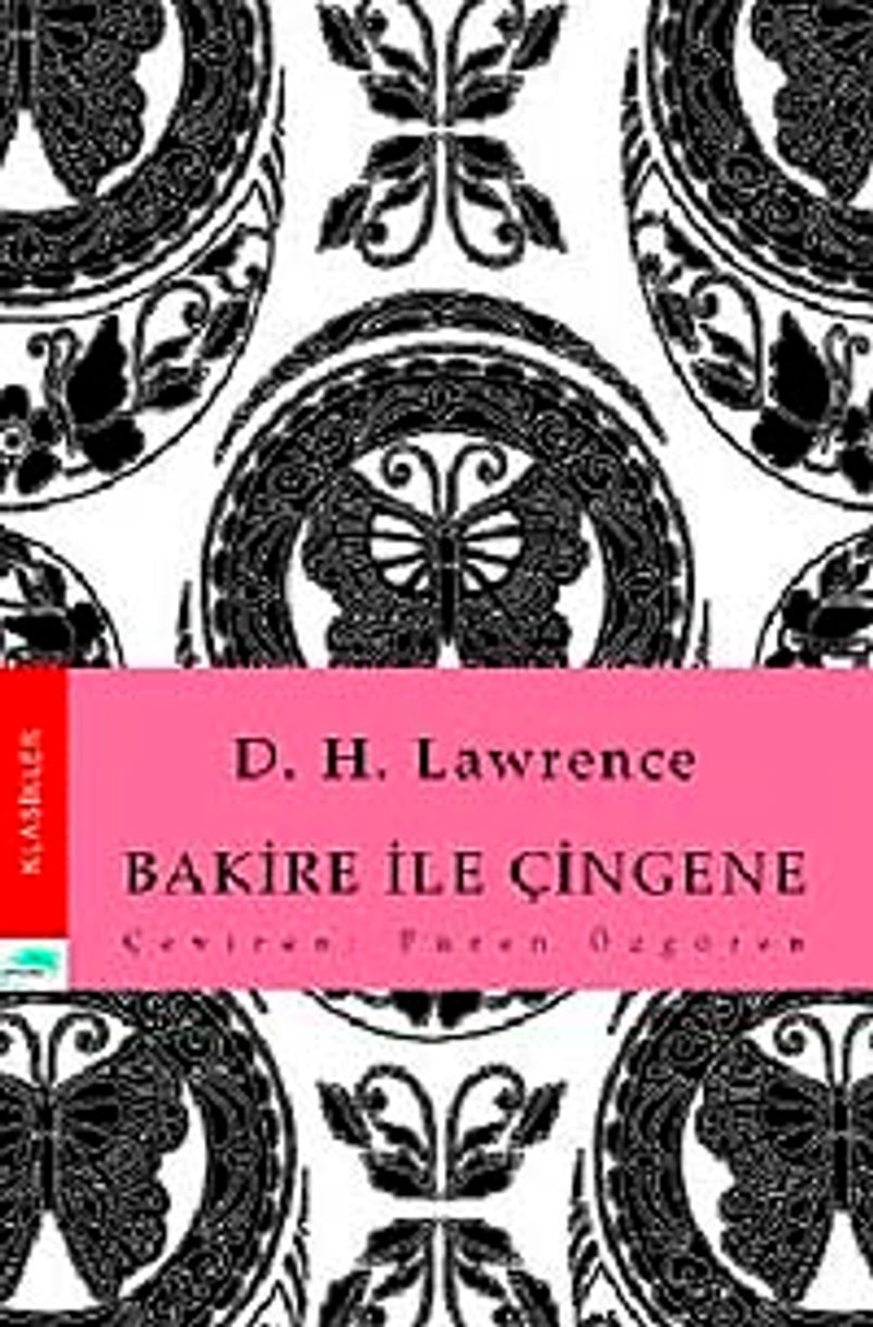 Bakire ile Çingene