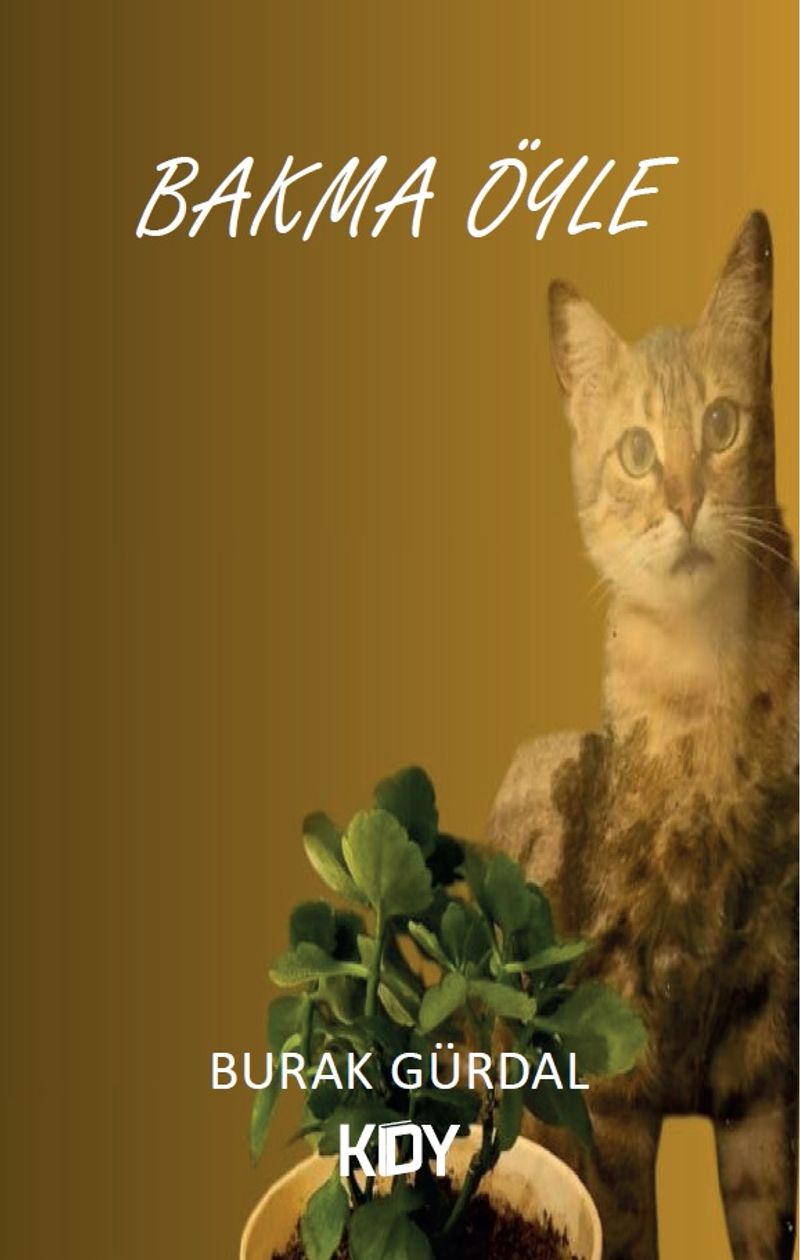 Bakma Öyle