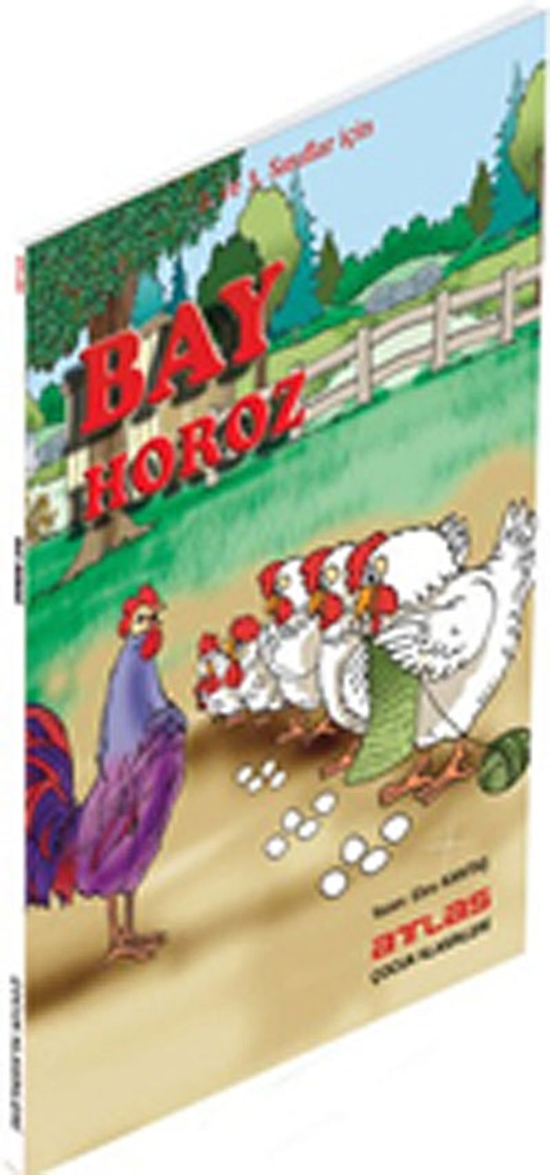Bay Horoz