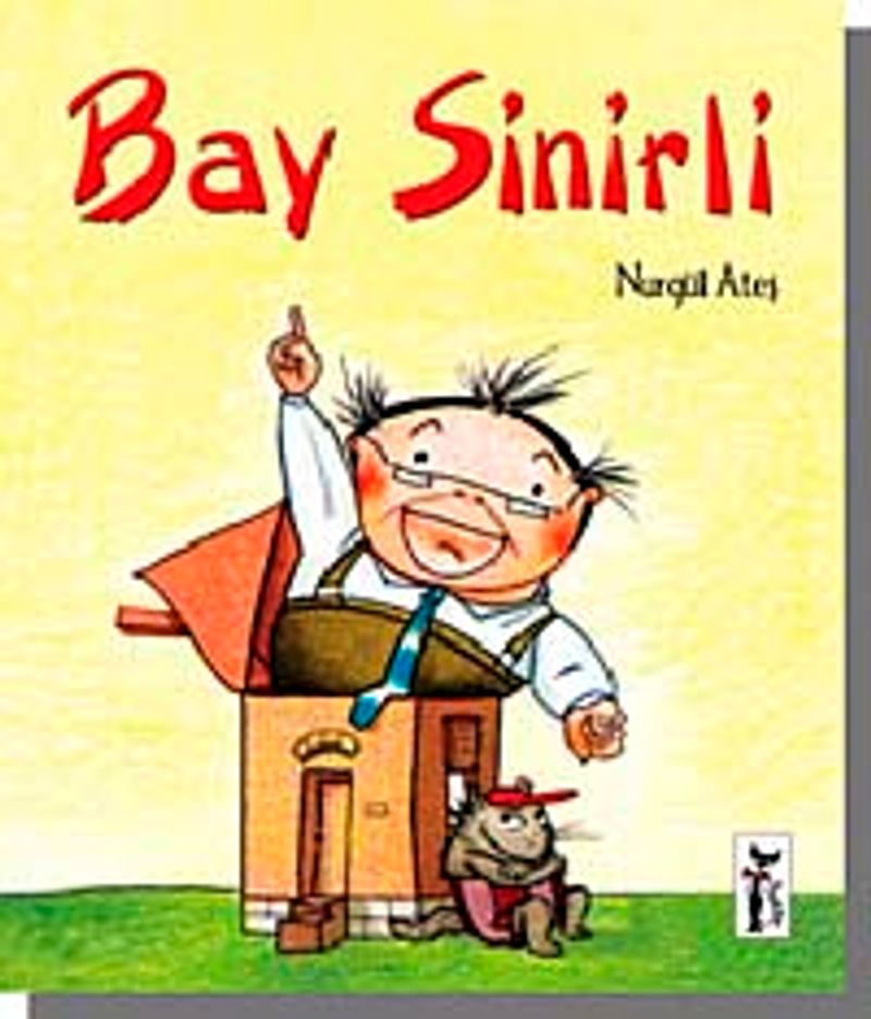 Bay Sinirli