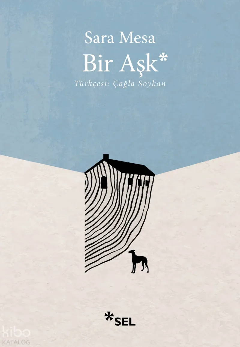 Bir Aşk