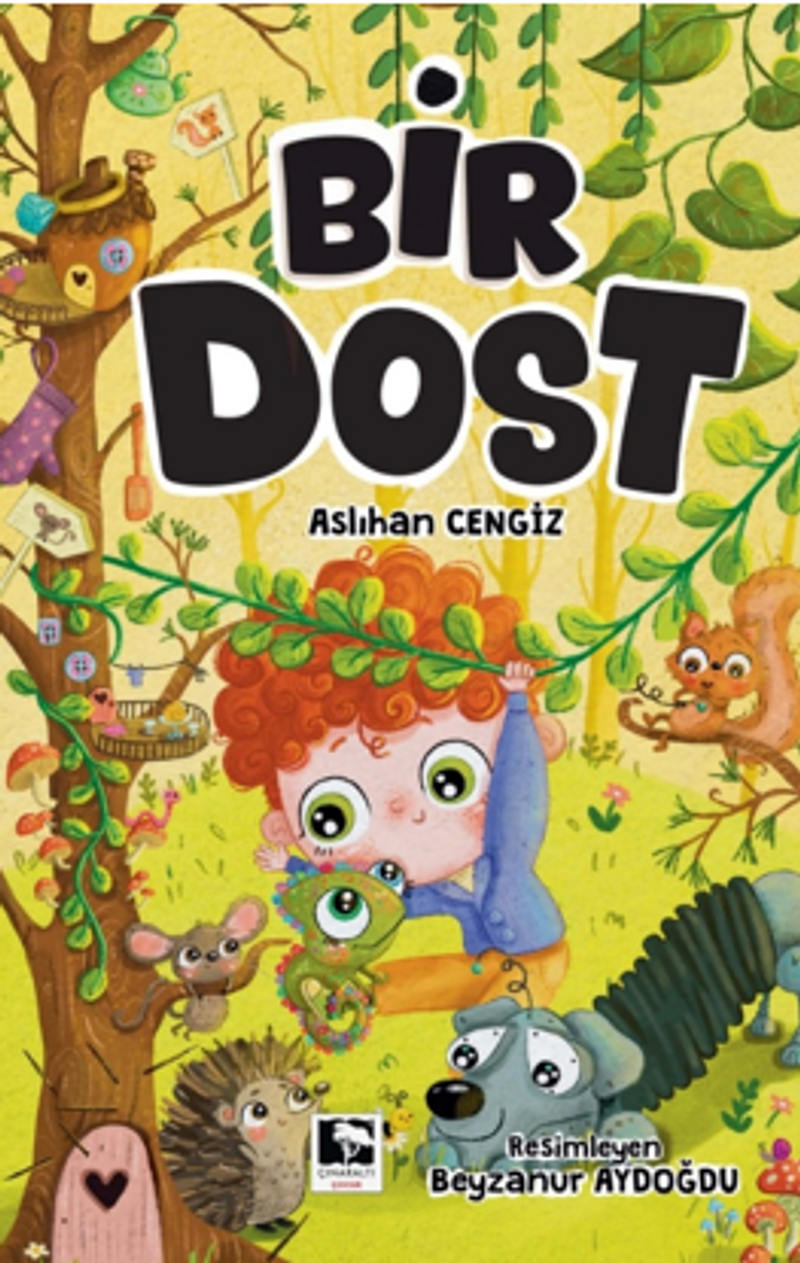Bir Dost