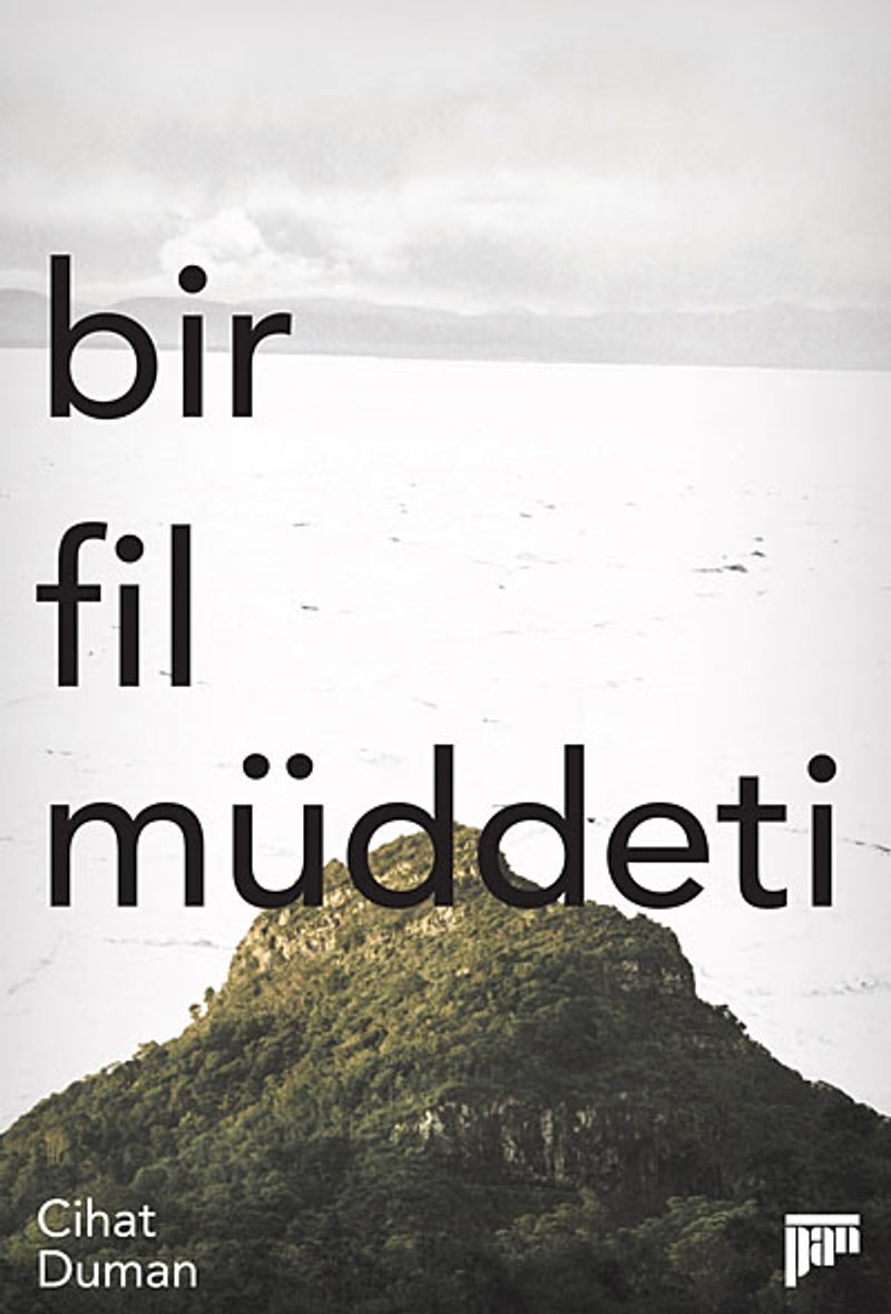 Bir Fil Müddeti
