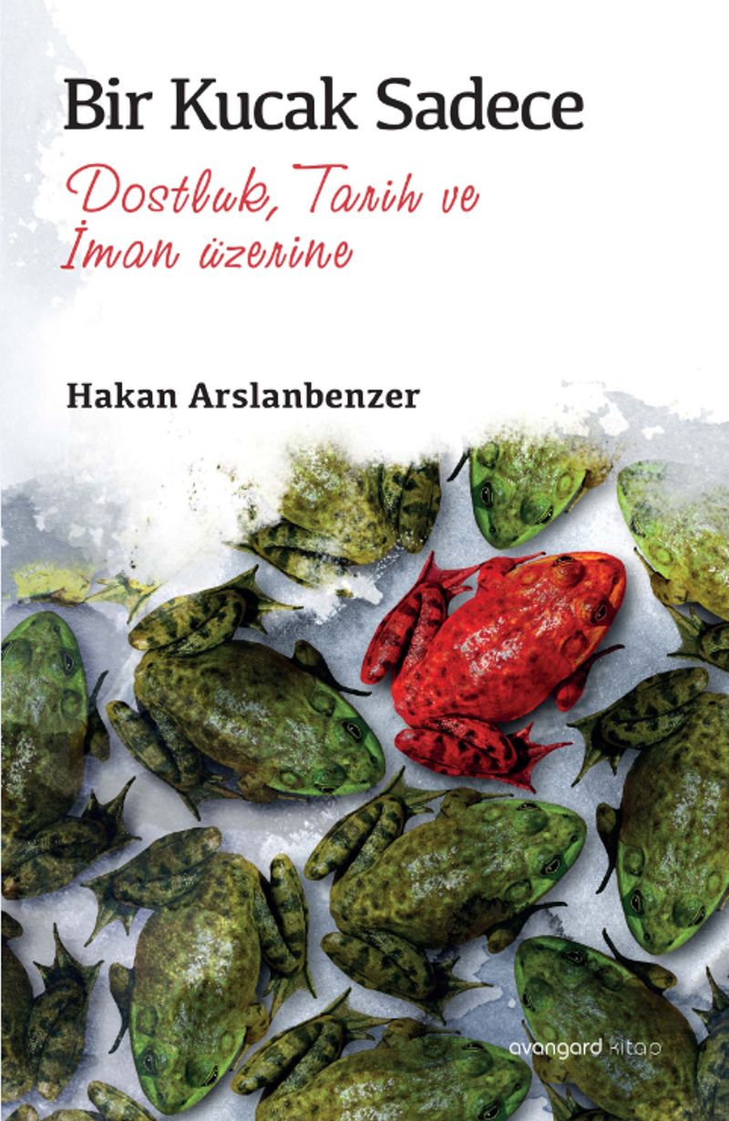 Bir Kucak Sadece