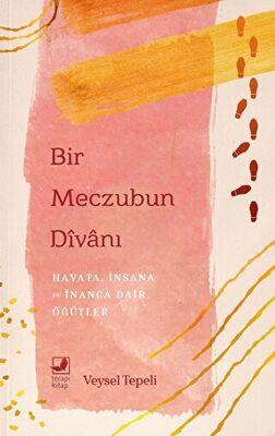 Bir Meczubun Divanı