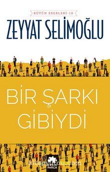 Bir Şarkı Gibiydi