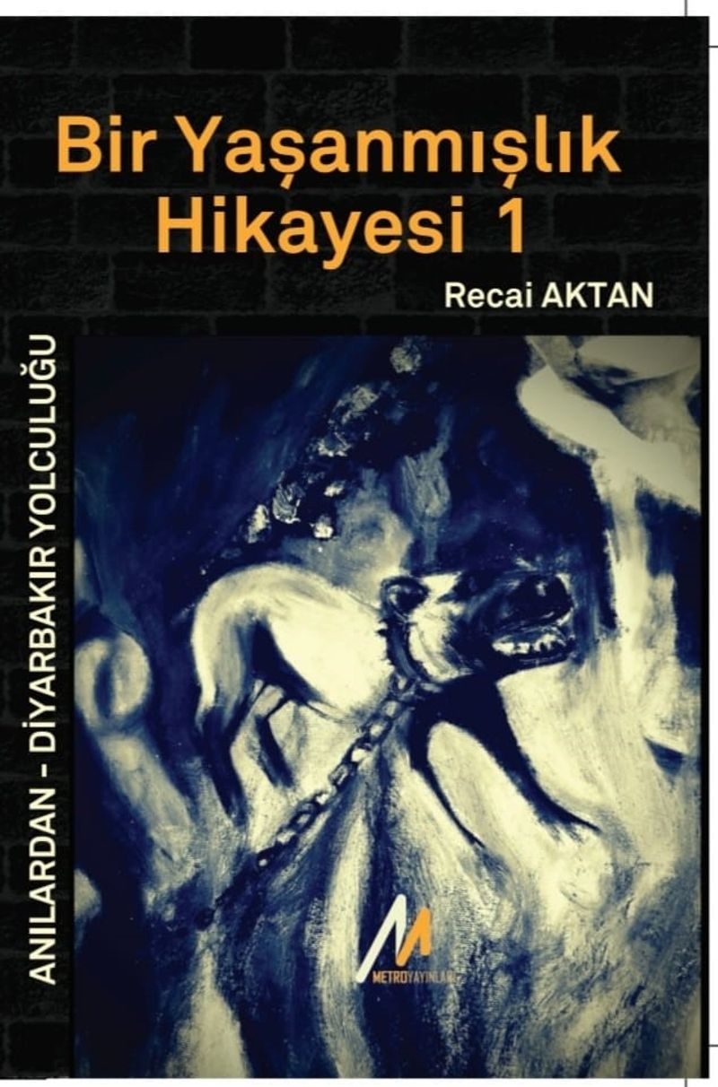 Bir Yaşanmışlık Hikayesi  Anılardan Diyarbakır Yolculuğu