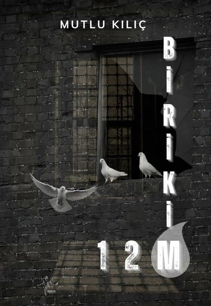 Birikim