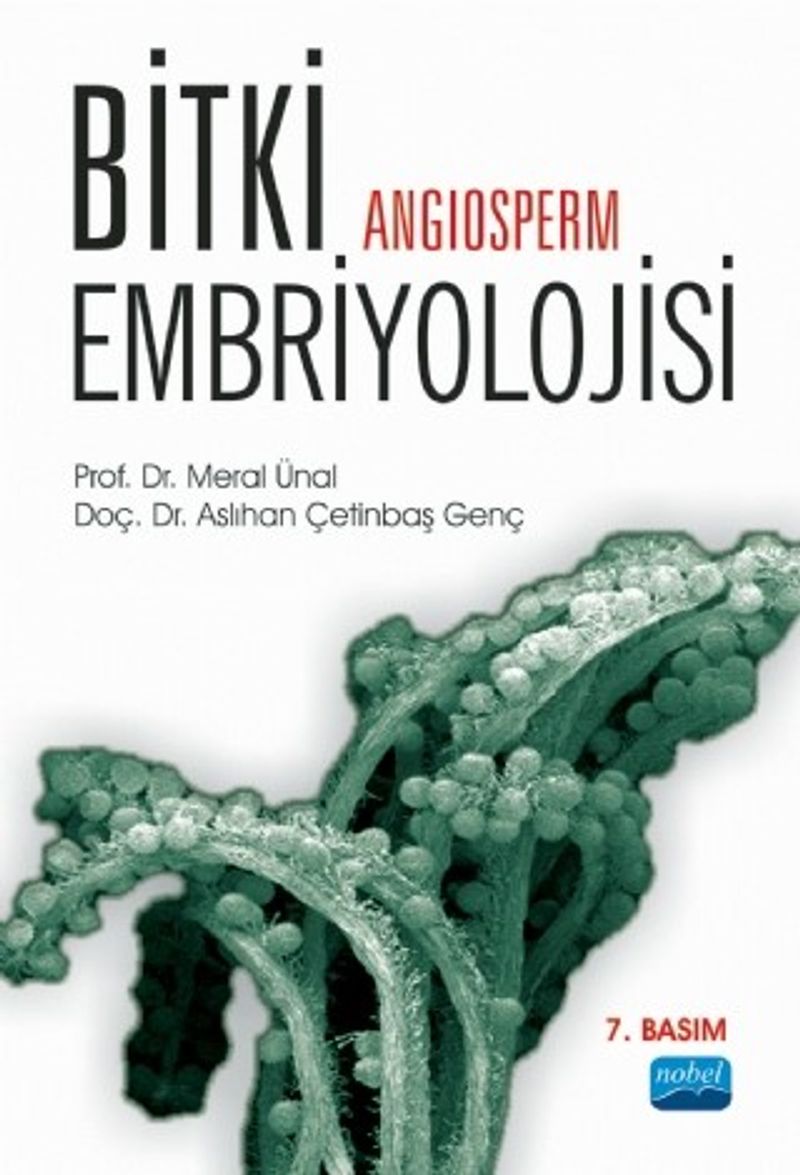 Bitki Embriyolojisi (Angiosperm)