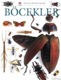 Böcekler