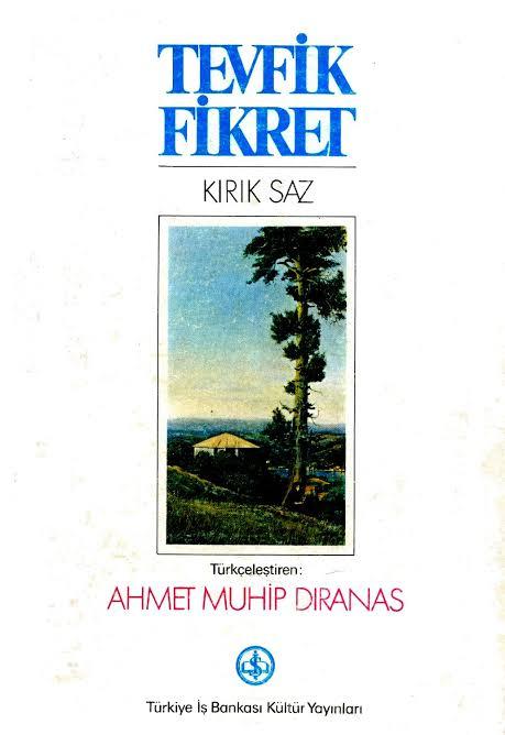 Kırık Saz