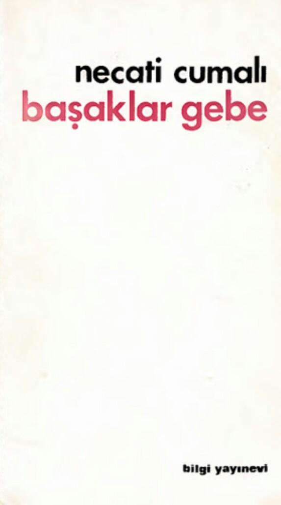 Başaklar Gebe