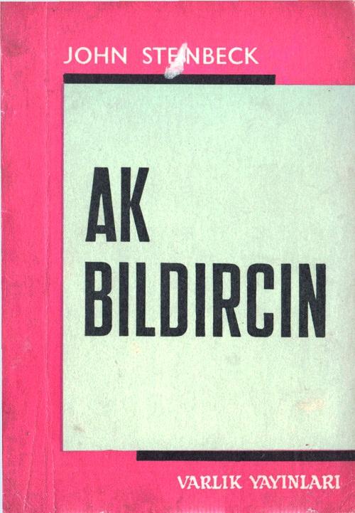 Ak Bıldırcın
