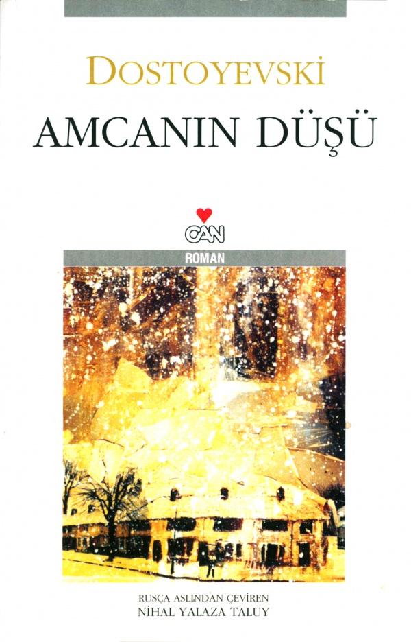 Amcanın Düşü