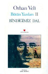 Bindiğimiz Dal