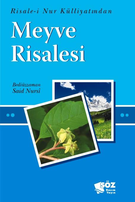 Meyve Risalesi