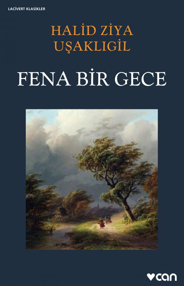 Fena Bir Gece