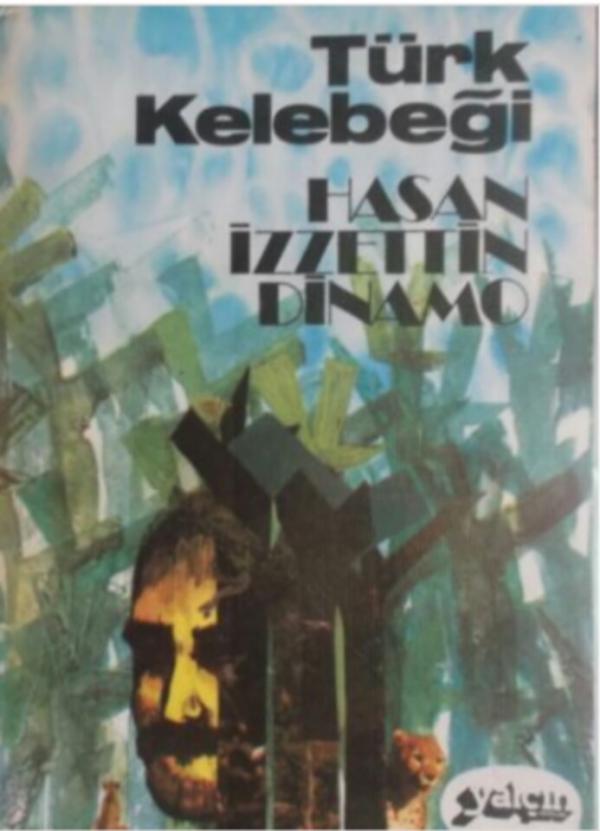 Türk Kelebeği