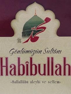 Habibullah