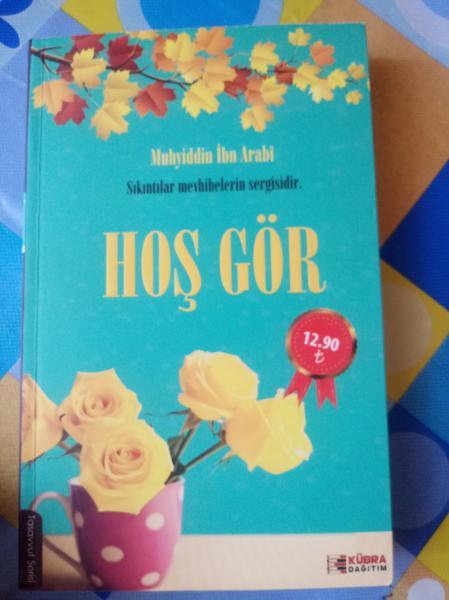 Hoş Gör