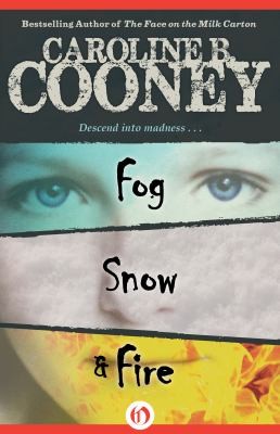 Fog Snow Fire