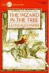 Wizard in the Tree, The