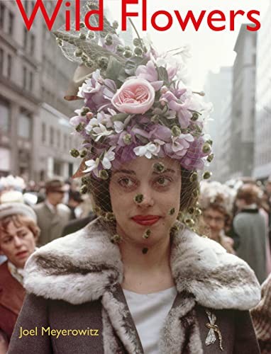 Joel Meyerowitz