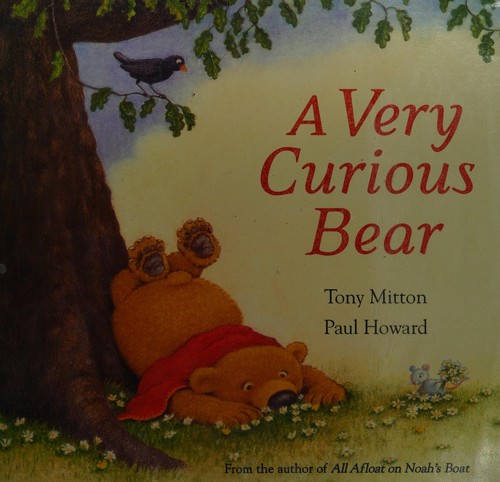 A very curious bear
