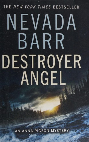 Destroyer angel